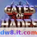 dw8 - Sobre Nós: Transparência e Confiança Article Image 1